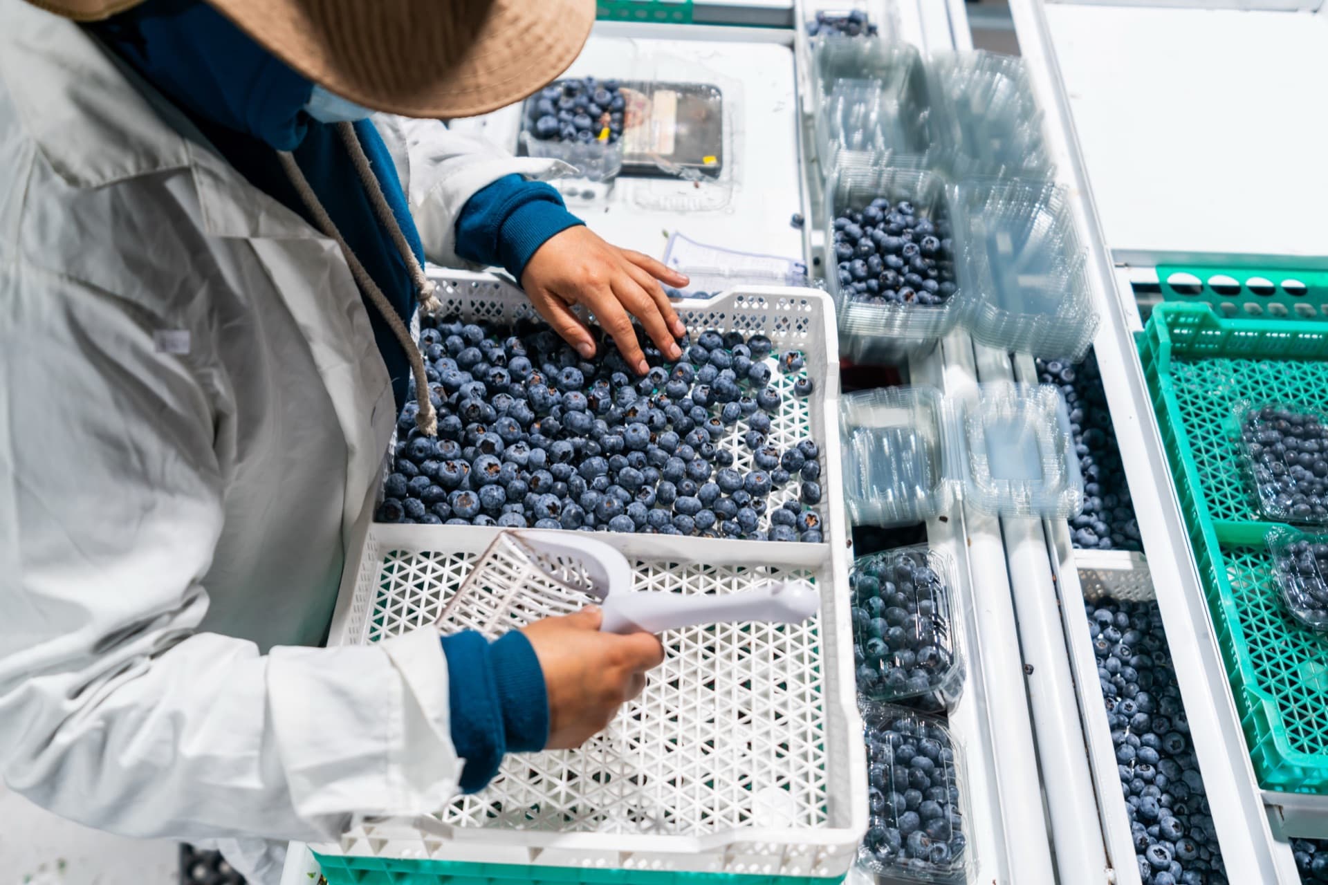 Computer vision system inspecting products on a production line