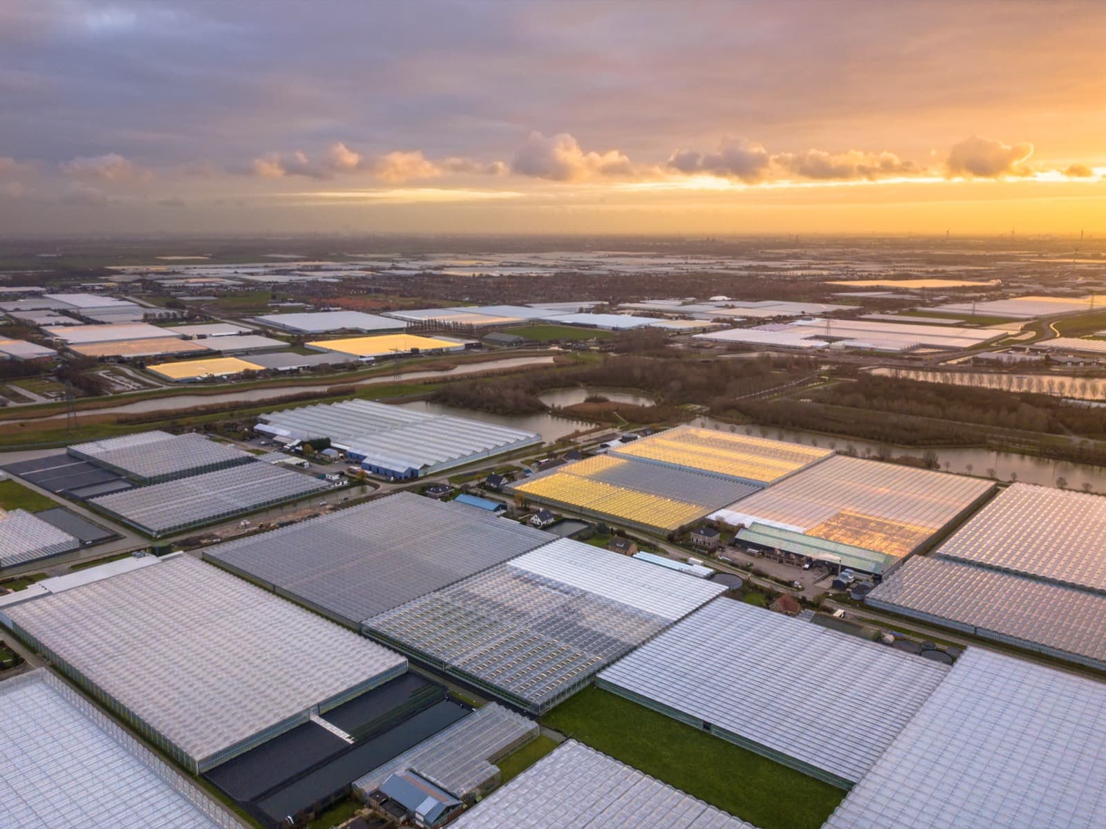 Agri-food & Tuinbouw